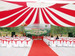 CHO THUÊ DÙ BẠT